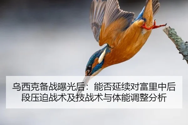 乌西克备战曝光后：能否延续对富里中后段压迫战术及技战术与体能调整分析