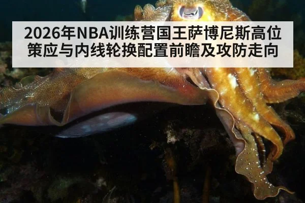 2026年NBA训练营国王萨博尼斯高位策应与内线轮换配置前瞻及攻防走向